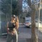Florenciariveros513