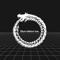 Ouroboros