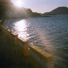 mang_zi