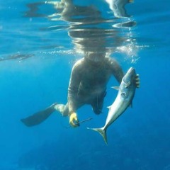 Vai_Parera🦈