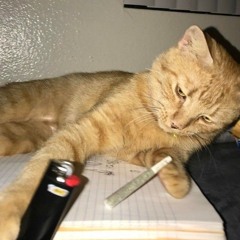 шизофреник