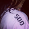 AREALZ500