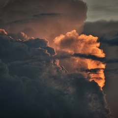 Peace Of Light