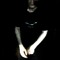 whitelist