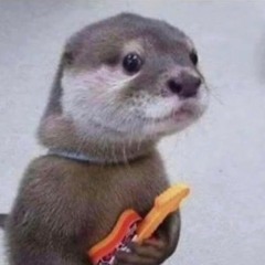 Lawrence the Band Archives