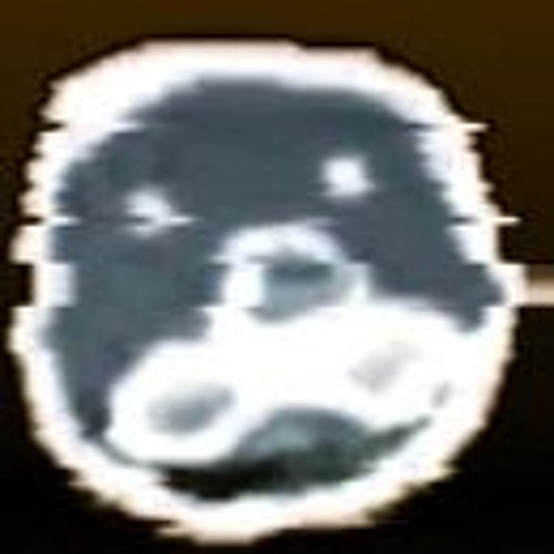 VOICESINMYH