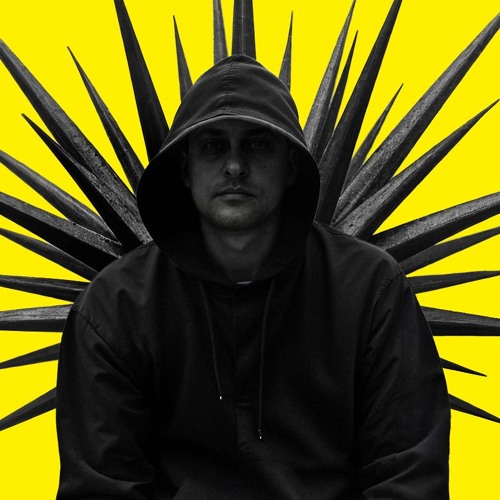 DJ Platon — artist photo