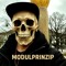 modulprinzip