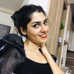 Maryam Ansari