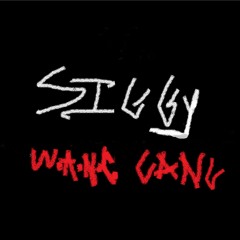 $IGG¥