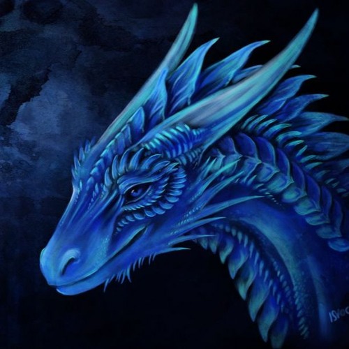 ЯН"13_Синий Дракон’s avatar
