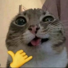 unga bunga