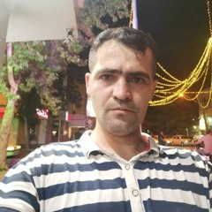 حسن تاج احمدی
