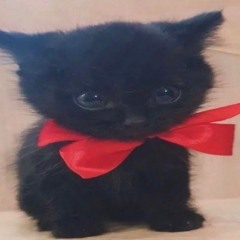 Jamming Kitty