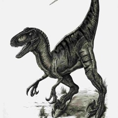 Black Raptor Enjoyer