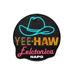 ZEE HAW ELECTRONICA
