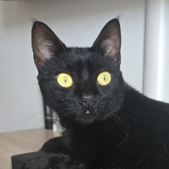 Tebitan