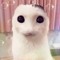 кощк