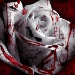 Rose blood 3825;p