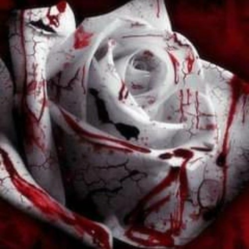 Rose blood 3825;p’s avatar