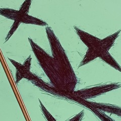 locus of control archive
