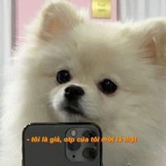 Ngộck Ngộck
