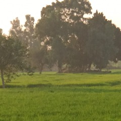 ABO AYOUB