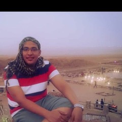 mohamed domain