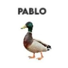 pablo industries