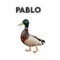 pablo industries