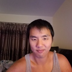 darudedogestorm