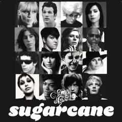 Sugarcane
