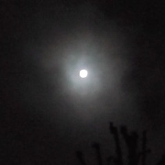 The Mother of all Stories