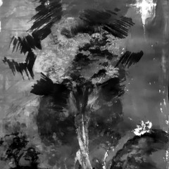 Oussama Ibri