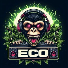 Eco 1st Set