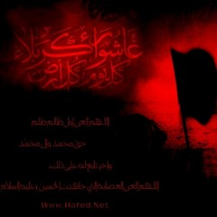 mohamed11