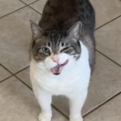 BA