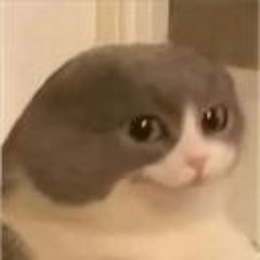 PewGe
