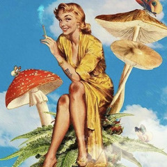 ༺ 𝔎𝔦𝔪𝔪𝔦 ༻