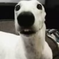 jorimee
