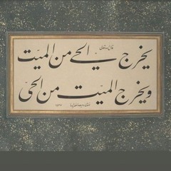 yasmeen Sobhy