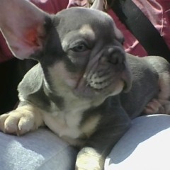 Picklebean.bates