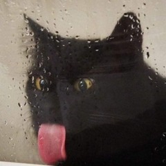 ꭲꭹꮮꭼꭱ