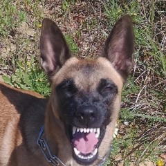 Mz Bratt - Selecta (\m/ Bootleg)[Direct Donwload]