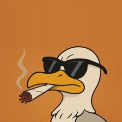 MC Gull