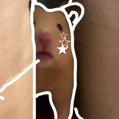 señar⭐︎