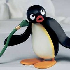 aggro pingu