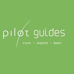 Pilot guides