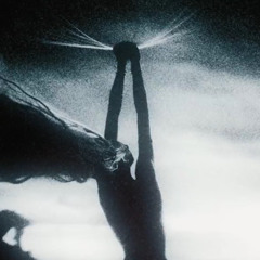 nacht