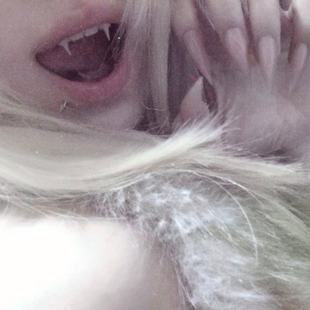 Stream lil worm music | Listen to songs, albums, playlists for free on ...